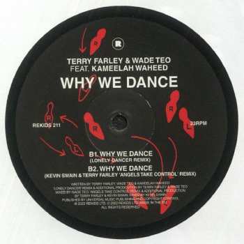 LP Terry Farley: Why We Dance 606367