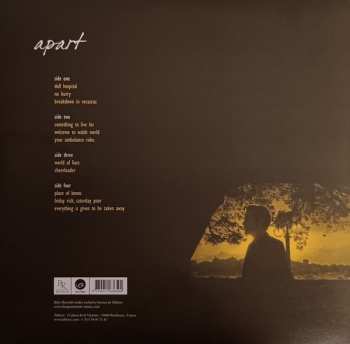 2LP The Apartments: Apart 556566