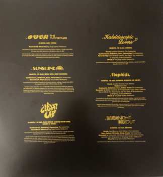 2LP/CD The Avalanches: Wildflower 272372