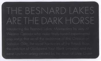 CD The Besnard Lakes: The Besnard Lakes Are The Dark Horse 181770