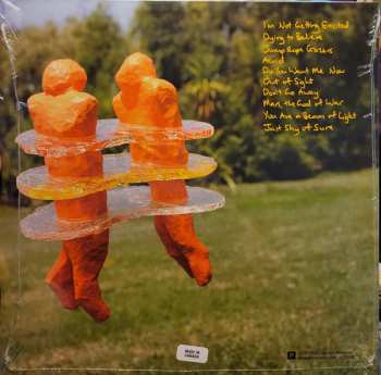 LP The Beths: Jump Rope Gazers LTD | CLR 460085