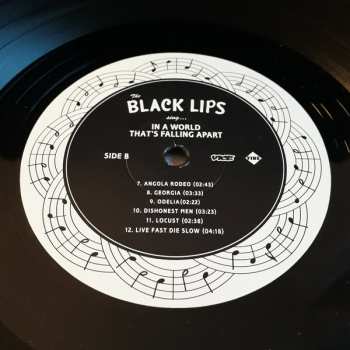 LP The Black Lips: In A World That's Falling Apart 74253