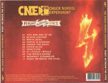 CD The Chuck Norris Experiment: Right Between The Eyes 616824