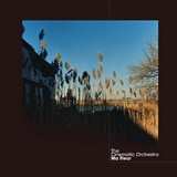 2LP The Cinematic Orchestra: Ma Fleur 603971