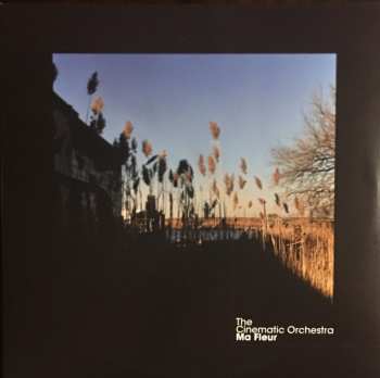 2LP The Cinematic Orchestra: Ma Fleur 603971