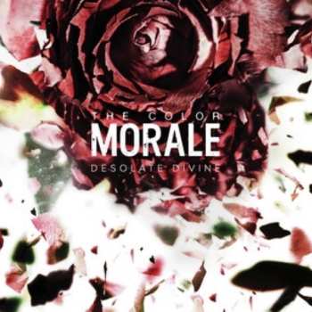 LP The Color Morale: Desolate Divine 591660