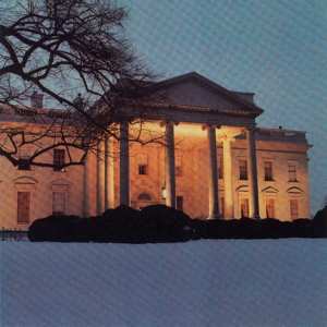 2LP The Dead C: The White House 576316