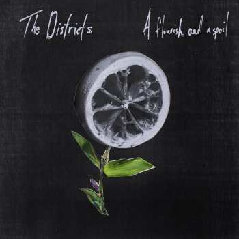 LP The Districts: A Flourish And A Spoil 592601