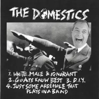 The Domestics: The Domestics / Volunteers