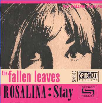 Album The Fallen Leaves: Rosalina : Stay