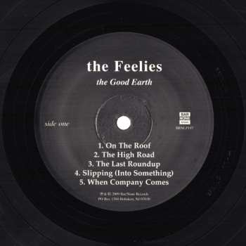 LP The Feelies: The Good Earth 262912