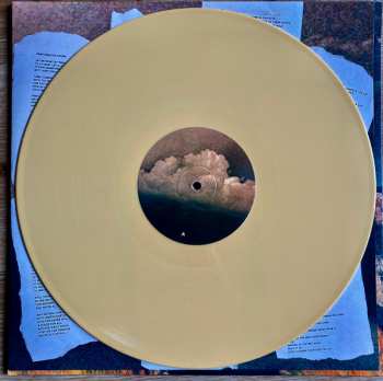 LP The Flatliners: New Ruin CLR | LTD 625349