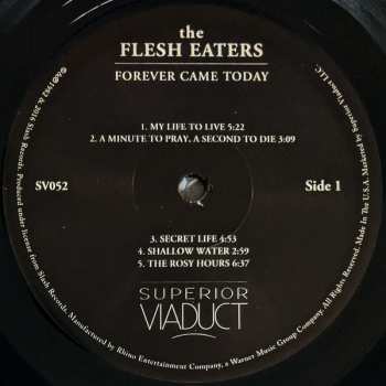 LP The Flesh Eaters: Forever Came Today 86897