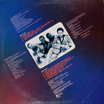 LP The Floaters: The Floaters 42102