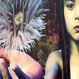 The Future Sound Of London: Lifeforms