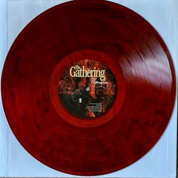 LP The Gathering: Mandylion CLR 460960