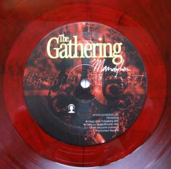 LP The Gathering: Mandylion CLR 460960