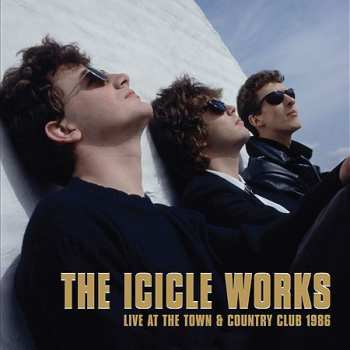 5CD/Box Set The Icicle Works: 5 Albums 93693