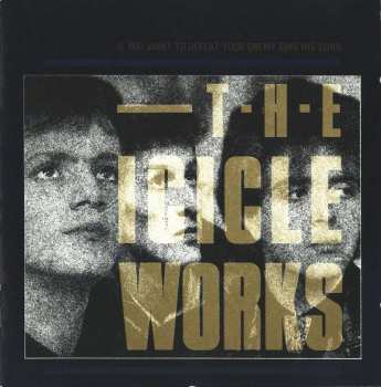 Album The Icicle Works: If You Want To Defeat Your Enemy Sing His Song