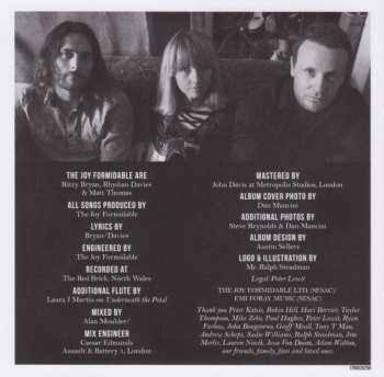 CD The Joy Formidable: Hitch DIGI 628145