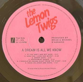 LP The Lemon Twigs: A Dream Is All We Know 578980