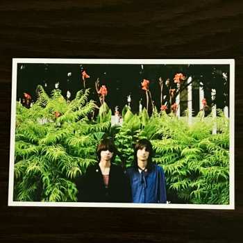 LP The Lemon Twigs: Everything Harmony CLR | LTD 628863