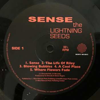 LP Lightning Seeds: Sense 622436