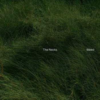 The Necks: Bleed