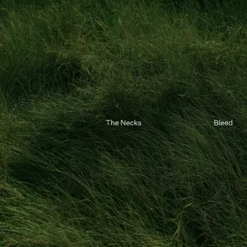 The Necks: Bleed