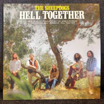 Album The Sheepdogs: Hell Together