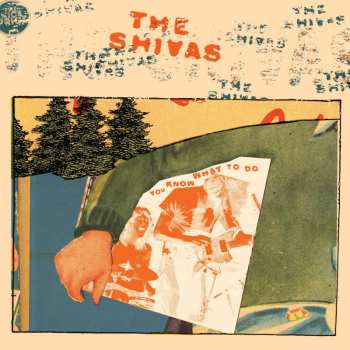 Album The Shivas: You Know What To Do