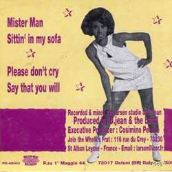 SP The Slow Slushy Boys: Mister Man 574826