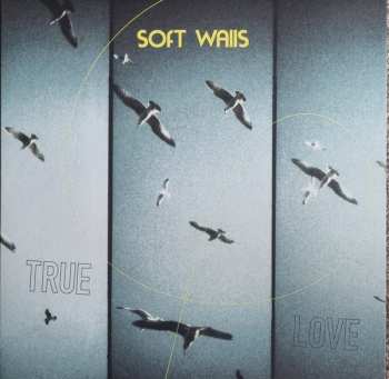 Album The Soft Walls: True Love