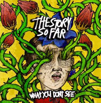 Album The Story So Far: What You Don't See