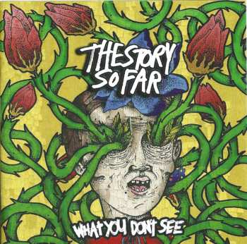 CD The Story So Far: What You Don't See 663919