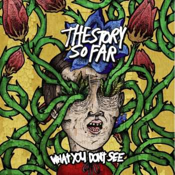 LP The Story So Far: What You Don't See 645225