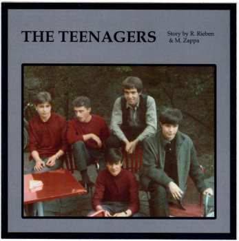 SP The Teenagers: Complication 576270