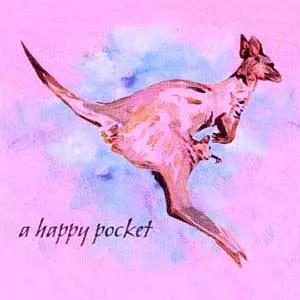 The Trash Can Sinatras: A Happy Pocket