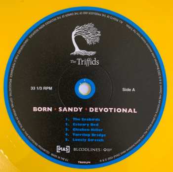 LP The Triffids: Born Sandy Devotional CLR | LTD 560318