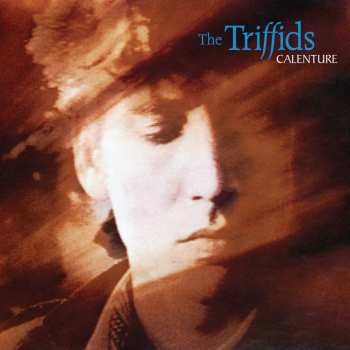 LP The Triffids: Calenture 550697