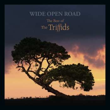 Album The Triffids: Wide Open Road (The Best Of The Triffids)