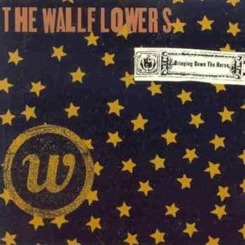 CD The Wallflowers: Bringing Down The Horse 628136