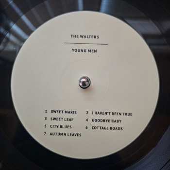 LP The Walters: Songs For Dads / Young Men 608640