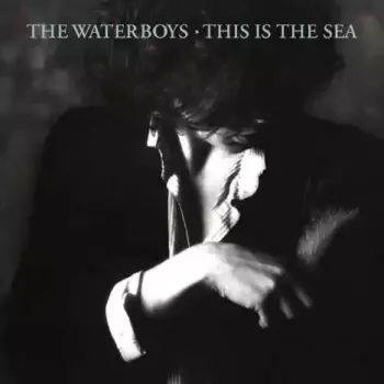 The Waterboys: This Is The Sea