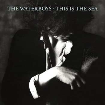 CD The Waterboys: This Is The Sea 638564