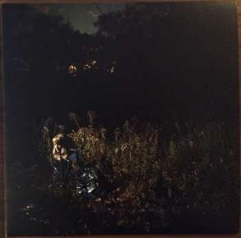 LP The Weather Station: Ignorance CLR | LTD 565807