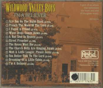 CD The Wildwood Valley Boys: I'm A Believer 173875