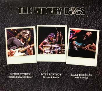 CD/Blu-ray The Winery Dogs: Dog Years - Live in Santiago & Beyond 2013-2016 438071