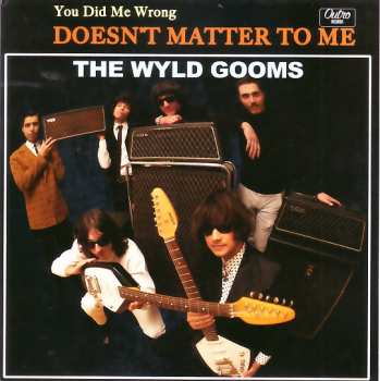 SP The Wyld Gooms: You Did Me Wrong / Doesn't Matter To Me 572224