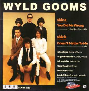 SP The Wyld Gooms: You Did Me Wrong / Doesn't Matter To Me 572224